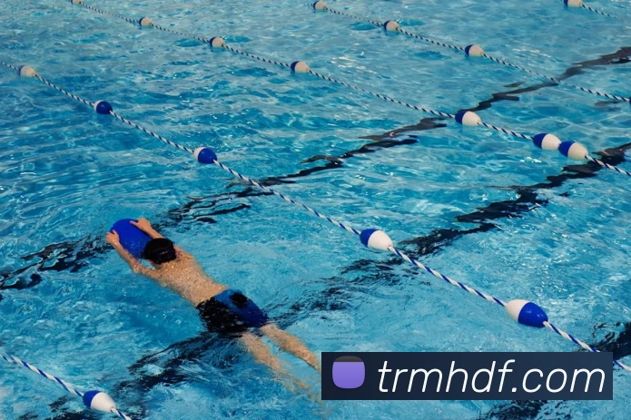 巅峰国际服务体系